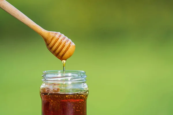 Honey dripping from honey dipper on natural green background — Stockfoto