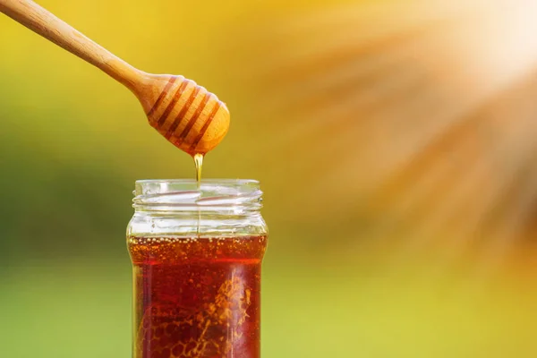 Honey dripping from honey dipper on natural background — Stockfoto