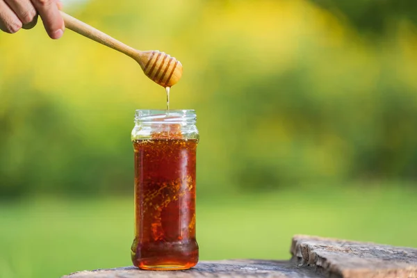 Honey dripping from honey dipper on natural background — Stockfoto