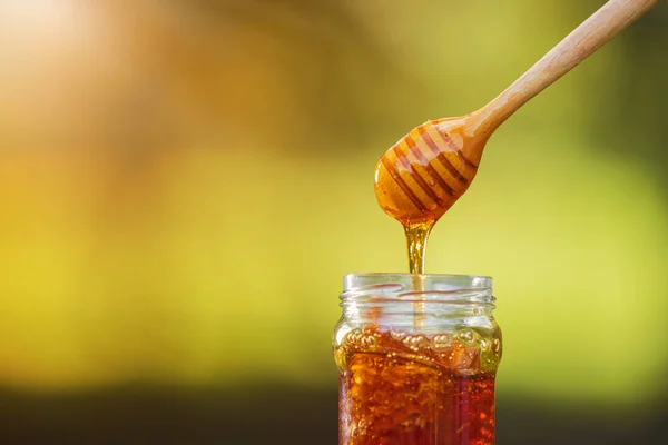 Honey dripping from honey dipper on natural background — Stockfoto