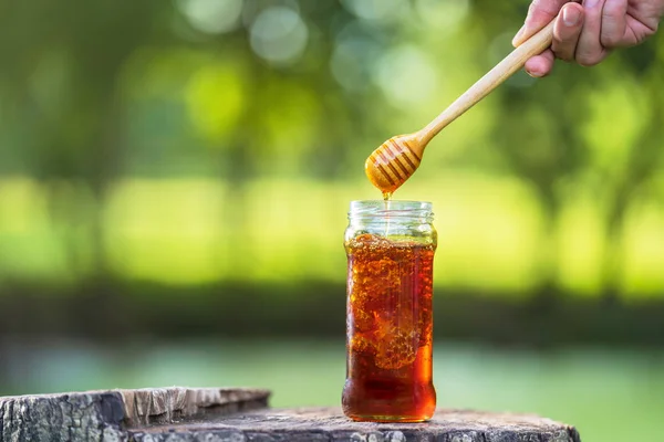 Honey dripping from honey dipper on natural green background — Stockfoto