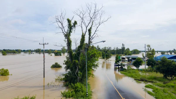 Vista aérea de los arrozales inundados y el pueblo, Vista fr — Foto de Stock