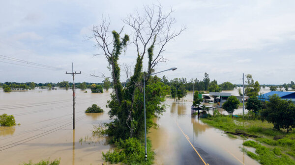 Aerial top view of Flooded rice paddies and the village, View fr