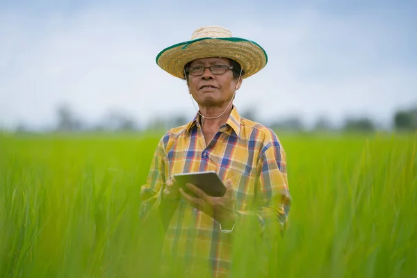 Азиатский фермер использует цифровые технологии на зеленом рисовом поле, Smart t t — стоковое фото