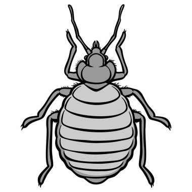 Bed Bug Icon İllüstrasyon - Bir Yatak Böcek bir karikatür illüstrasyon.