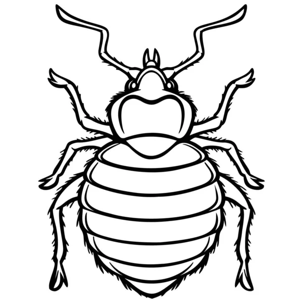 Bed Bug Graphic Illustration Cartoon Illustration Bed Bug — Stock Vector