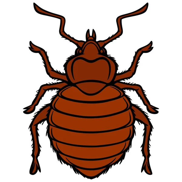 Bed Bug Graphic Cartoon Illustration Bed Bug — Stock Vector