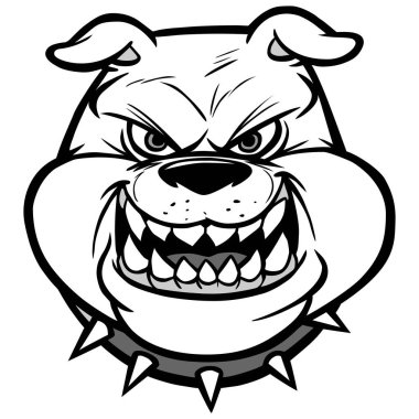 Bulldog Head On View Illustration - Bulldog Maskotu'nun çizgi film illüstrasyonu.