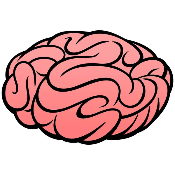 Icono Del Cerebro Una Ilustración Dibujos Animados Cerebro — Vector de stock