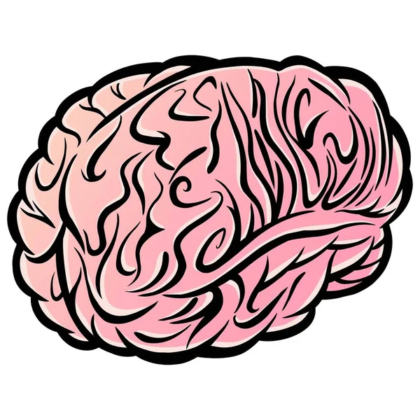 Beyin Llüstrasyon Bir Beyin Bir Karikatür Illüstrasyon — Stok Vektör