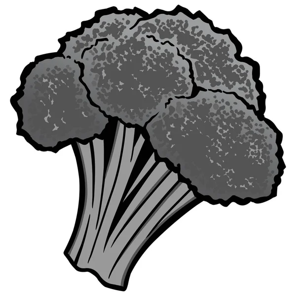 Illustration Brocoli Une Illustration Bande Dessinée Une Mascotte Brocoli — Image vectorielle