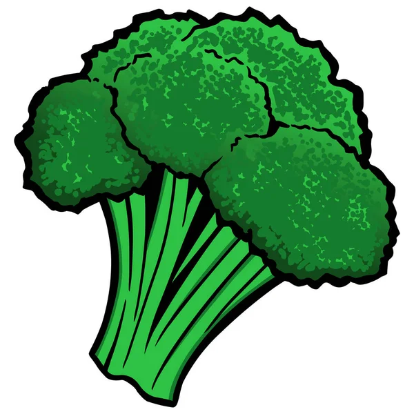 Broccoli Cartone Animato Illustrazione Pezzo Broccoli — Vettoriale Stock