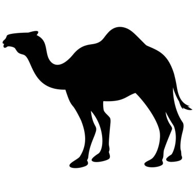 Camel Siluet - Camel Siluet bir karikatür illüstrasyon.