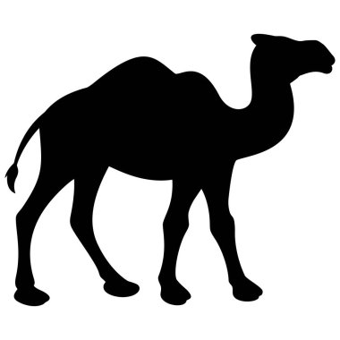 Camel Walking - Camel Siluetbir karikatür illüstrasyon.