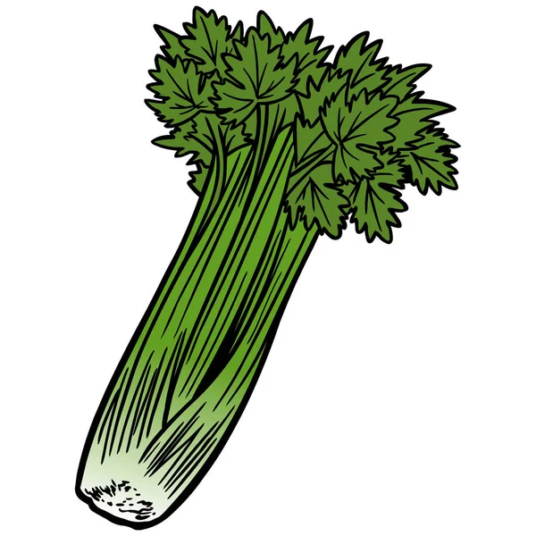 Celery Sebuah Ilustrasi Kartun Dari Tangkai Seledri - Stok Vektor