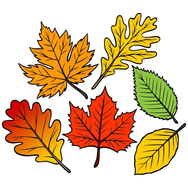 Őszi Leaf Collection Karikatúra Illusztrációja Fall Leaf Gyűjtemény — Stock Vector