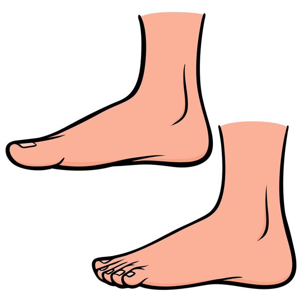 Foot Profiles - A cartoon illustration of a couple of Foot Profiles.