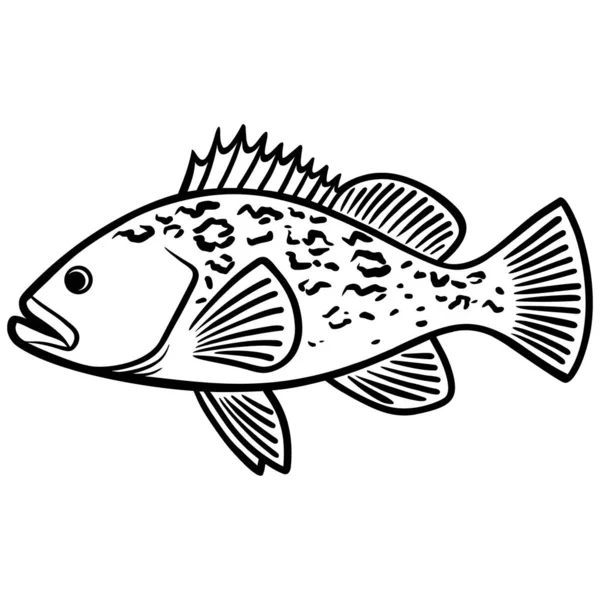 Grouper Fish Illustration Tecknad Illustration Grouper Fisk — Stock vektor