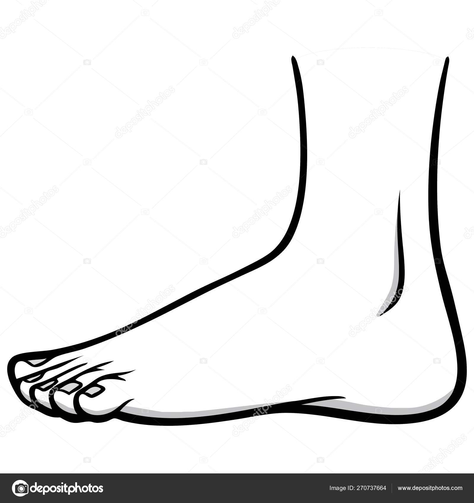 Foot Illustration Cartoon Illustration Foot ⬇ Vector Image by