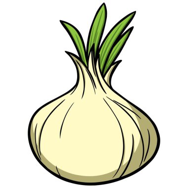 Soğan - Soğan bir karikatür illüstrasyon.