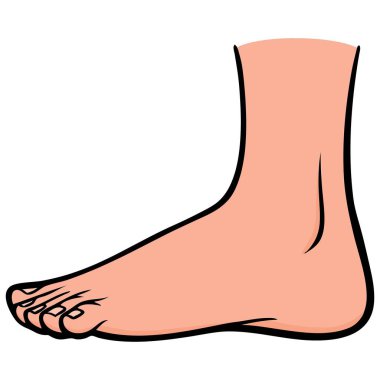 Outside Foot - Ayağın Dışında bir karikatür illüstrasyon.