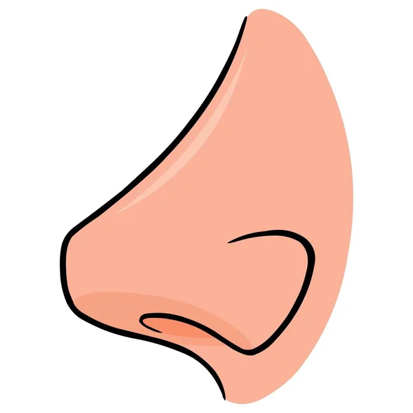Вид Збоку Носа Мультяшна Ілюстрація Людського Носа — стоковий вектор