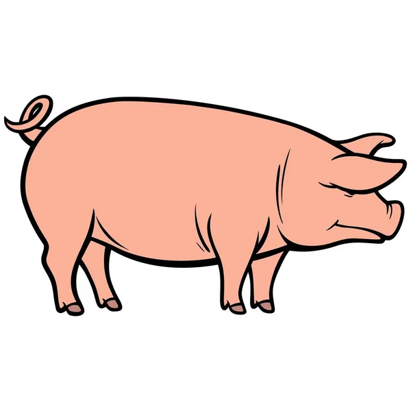 Świnia Ilustracja Kreskówka Świnia — Wektor stockowy