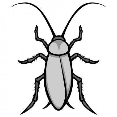 Roach - Bir Roach bir karikatür illüstrasyon.