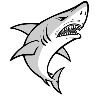 Shark Yaklaşım İllüstrasyon - Bir Shark bir karikatür illüstrasyon.