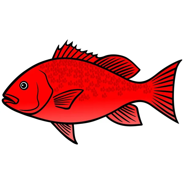 Red Snapper Fish Uma Ilustração Dos Desenhos Animados Peixe Vermelho — Vetor de Stock