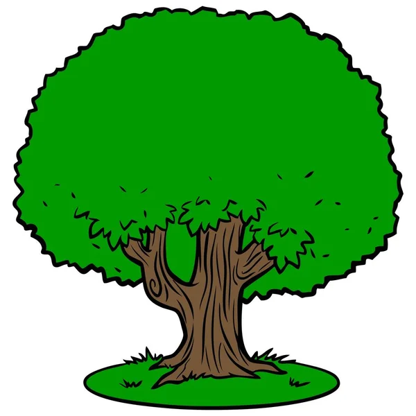 Дерево Мультяшна Ілюстрація Дерева — стоковий вектор