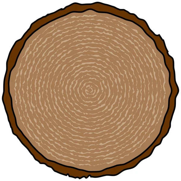 Tree Ring Tecknad Illustration Träd Ring — Stock vektor