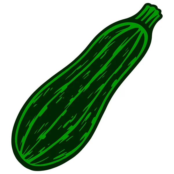 Zucchini Eine Zeichentrickillustration Einer Zucchini — Stockvektor