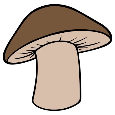 Shiitake Mantar - Bir Shiitake Mantar bir karikatür illüstrasyon.