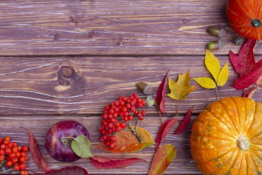 Renkli kül ağacı ve akçaağaç yaprakları, meşe palamudu, ashberry, elma ve kabak ile Sonbahar arka plan. Kopya alanı ile sonbahar hasat Köşesi. Sezonluk teklifler ve tatil kartpostalı için maket, en iyi görünüm.