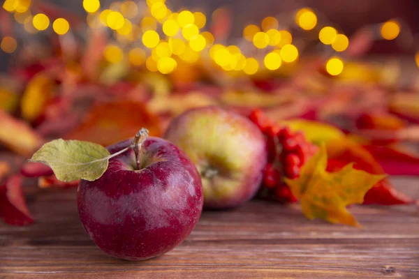 Autumn Composition Red Apples Ashberry Colorful Leaves Yellow Warm Little Stock Image