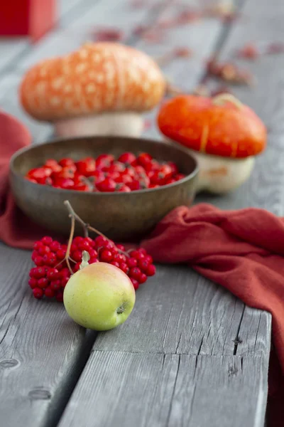 Elma Kabak Rowanberry Kırmızı Kumaş Yaprakları Kuşburnu Ile Kase Ile — Stok fotoğraf