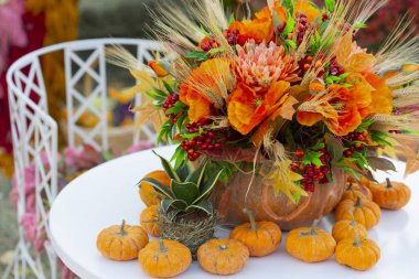 Sonbahar bahçesinde beyaz masasında balkabaklarıyla şenlikli bir sonbahar çiçeği..
