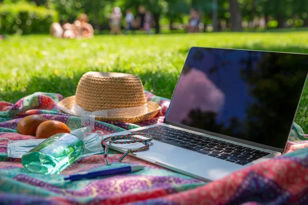 Laptop, face mask and hand alcohol gel sanitizer on blanket on a green grass lawn in the park or garden. Smart working from city park in a bright sunshine summer day.