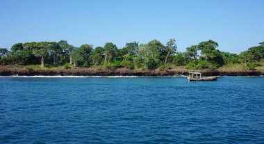 tropik ada wasini Kenya sahil