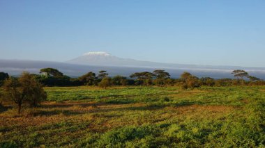 kilimanjaro Dağı ile Kenya milli park peyzaj
