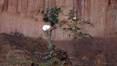 Hells mutfak Kanyonu Keyna Marafa