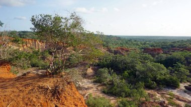 Hells mutfak Kanyonu Keyna Marafa