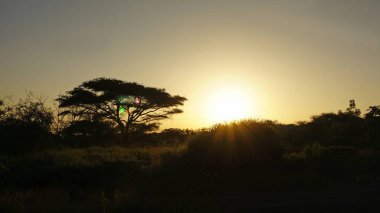 Kenya Ulusal Parkı savana manzarada üzerinde romantik günbatımı
