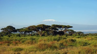 kilimanjaro Dağı ile Kenya milli park peyzaj