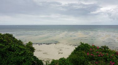 bulutlu bir günde Kenya nyali vahşi kıyısında