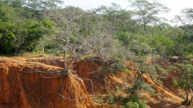 Hells mutfak Kanyonu Keyna Marafa