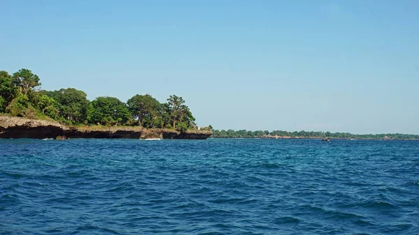 Küste Der Tropischen Insel Wasini Kenia — Stockfoto