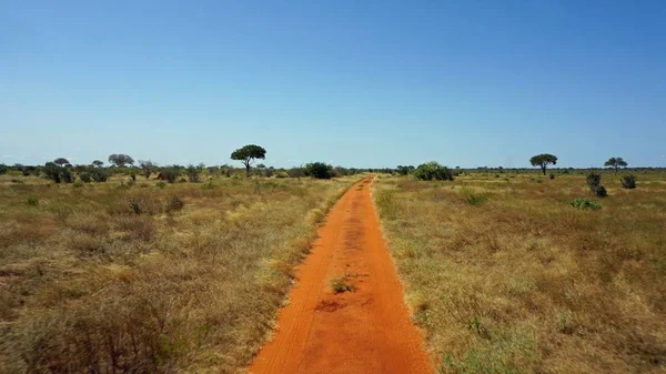 Σκονισμένο Δρόμο Κόκκινο Στην Κένυα Εθνικό Πάρκο — Φωτογραφία Αρχείου