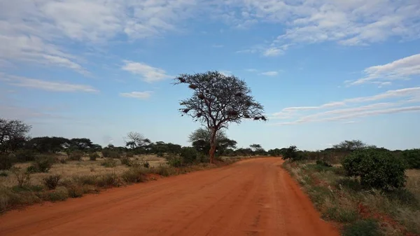 Estrada Vermelha Empoeirada Parque Nacional Quênia — Fotografia de Stock
